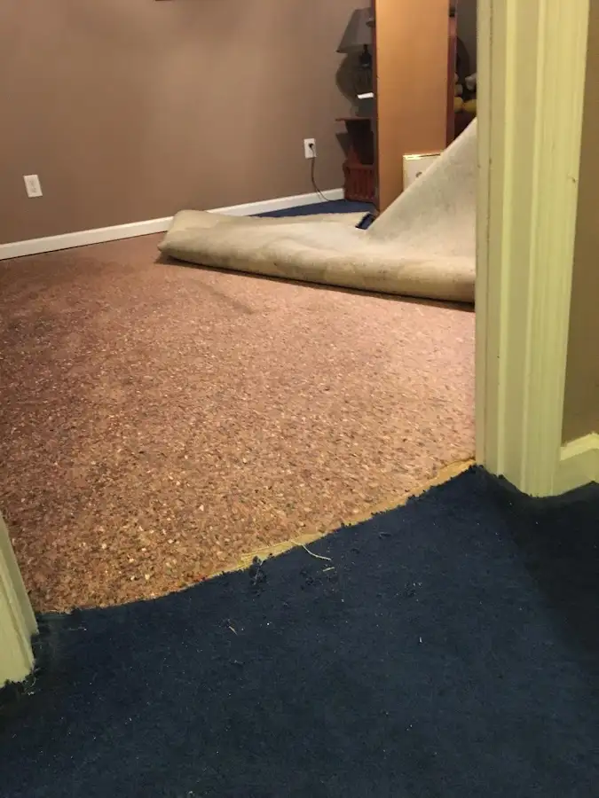 Carpet pad removal revealing water damage during Water Mitigation Services in Beverly